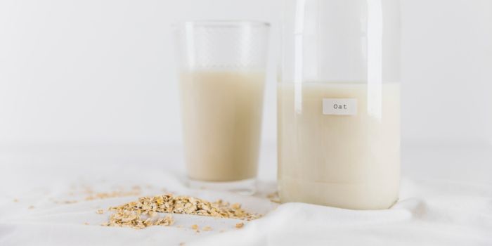 best-oat-powder