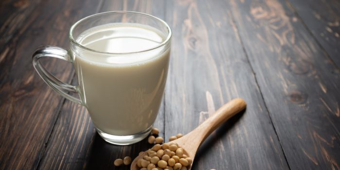 best-soy-milk-powders