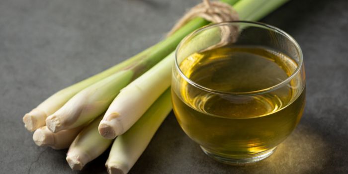 minuman-herbal-untuk-badan-lemas-agar-semangat