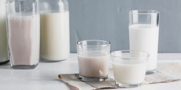 powder-milk-and-drinks
