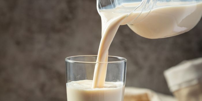 the-best-soy-milk-powder