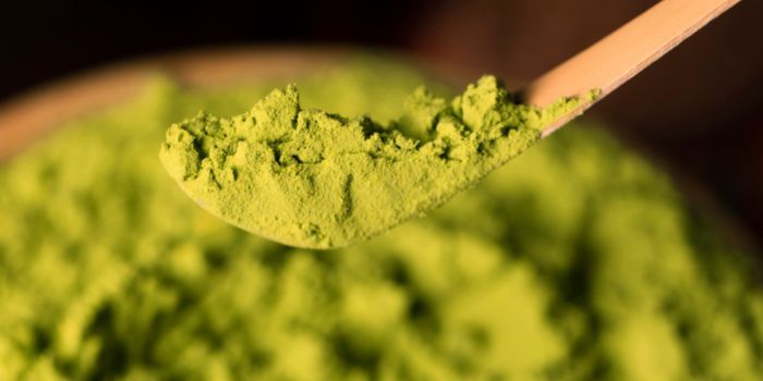 vegetable-powder-benefits