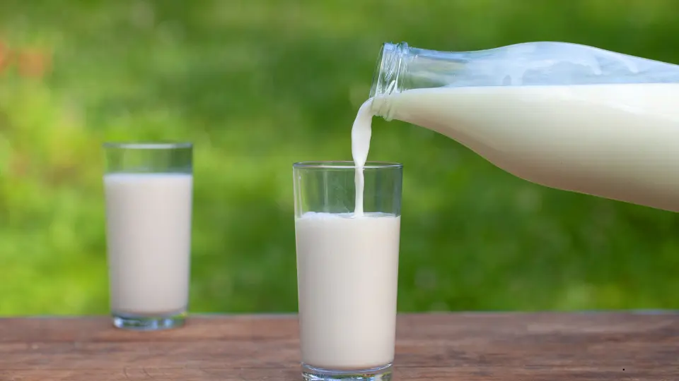 susu untuk kolesterol yang enak