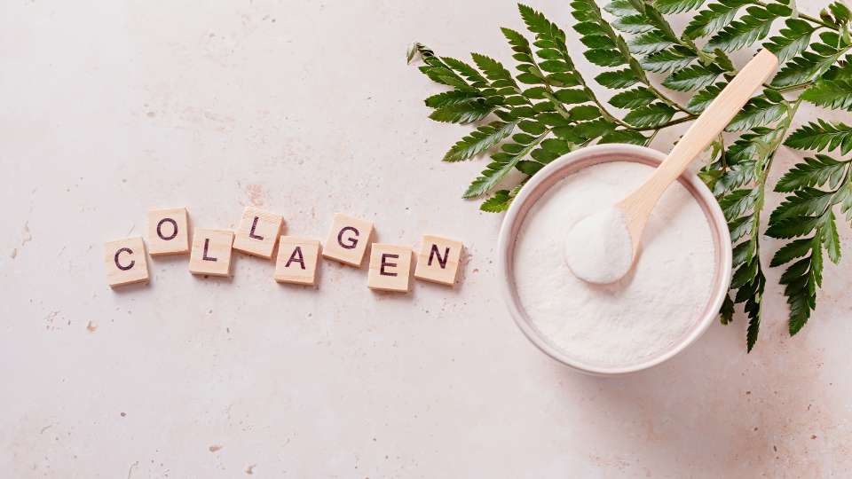 collagen sapi peptilus dan manfaatnya