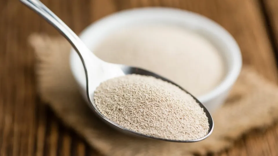 yeast untuk ibu menyusui