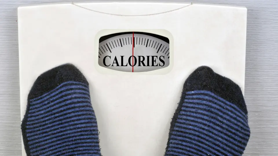 Zero Calorie Drinks 