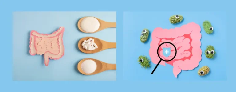 Best Probiotics for Diarrhea