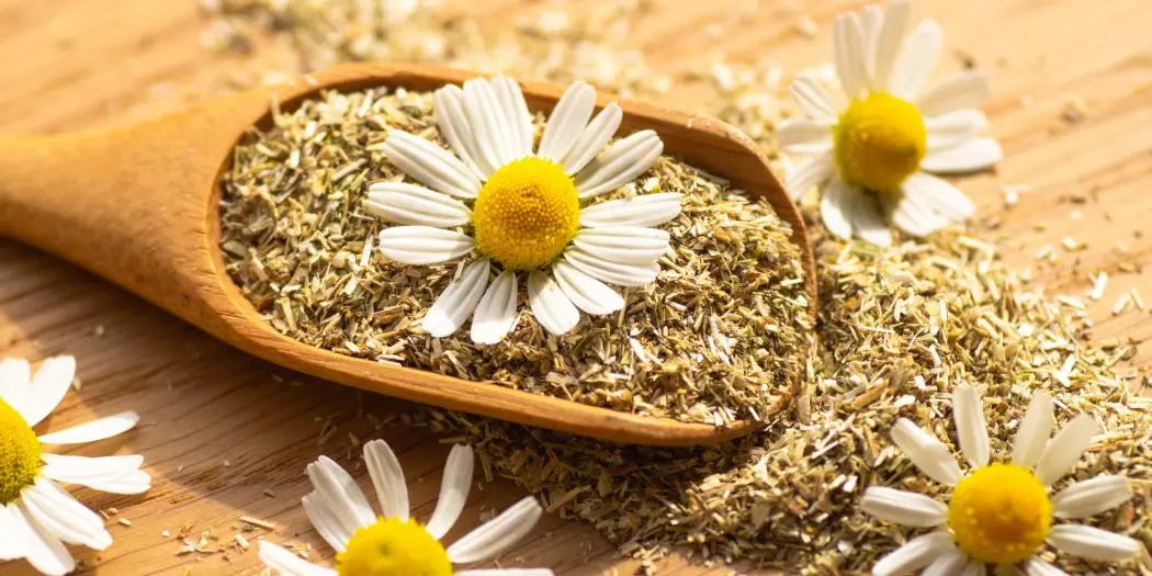 Benefits of Chamomile and Roselle
