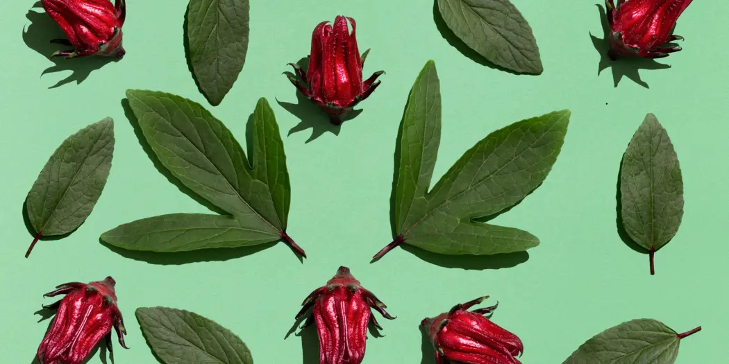 Benefits of Chamomile and Roselle