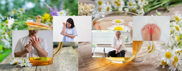 minuman herbal untuk sembuhkan penyakit asam urat