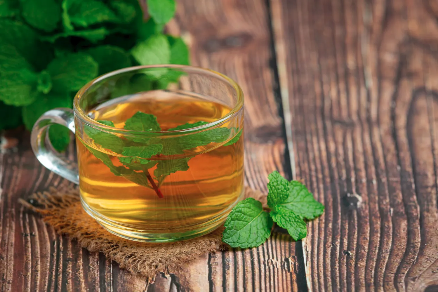 minuman penghilang cemas 