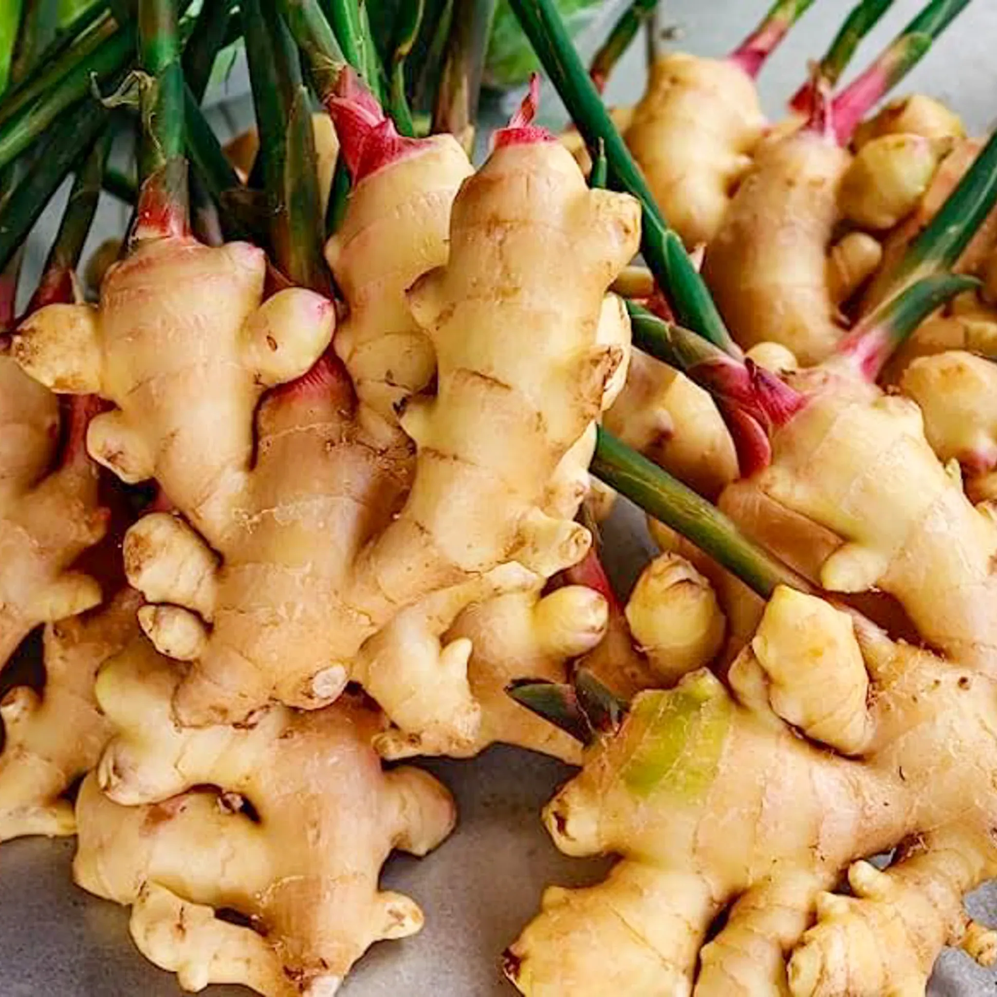 Traditional Indonesian Herbal Drinks For Natural Immunity 8 Indonesian Herbal Drinks