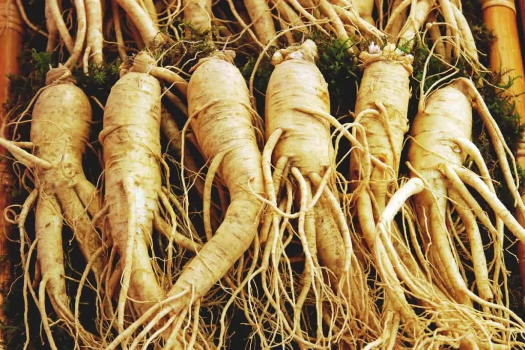 Minuman Adaptogen