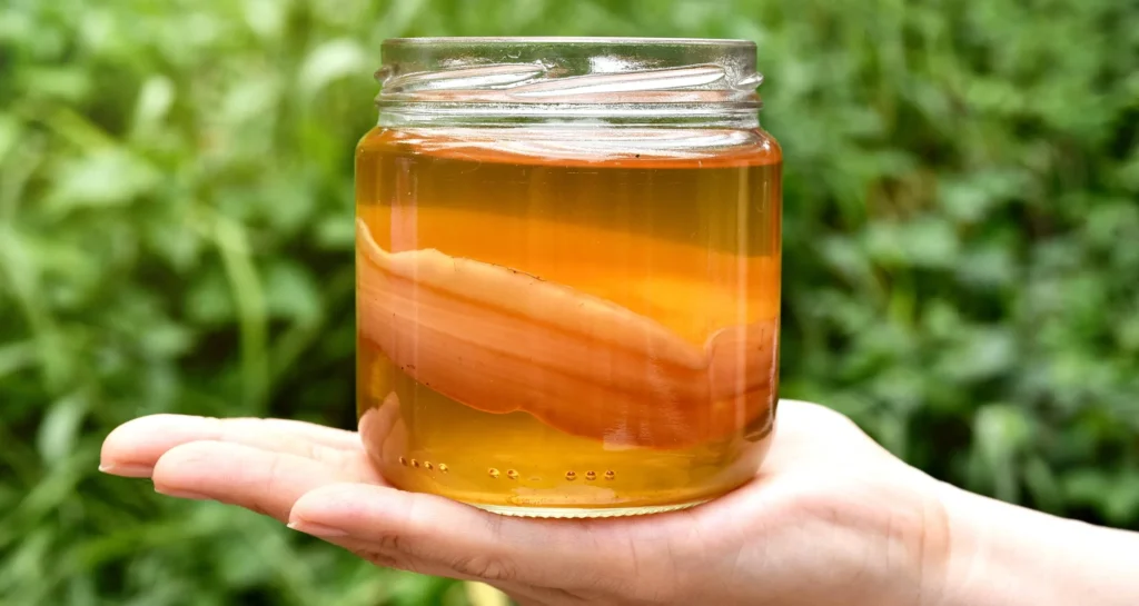 Natural Probiotic Drinks