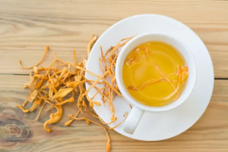 Minuman Adaptogen
