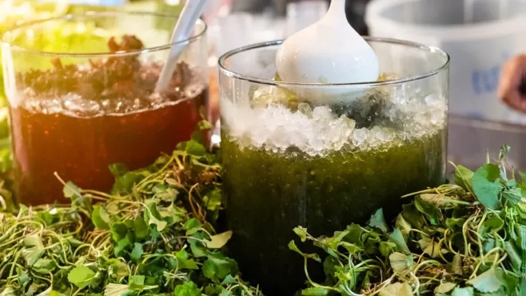 jasa pembuatan minuman kemasan