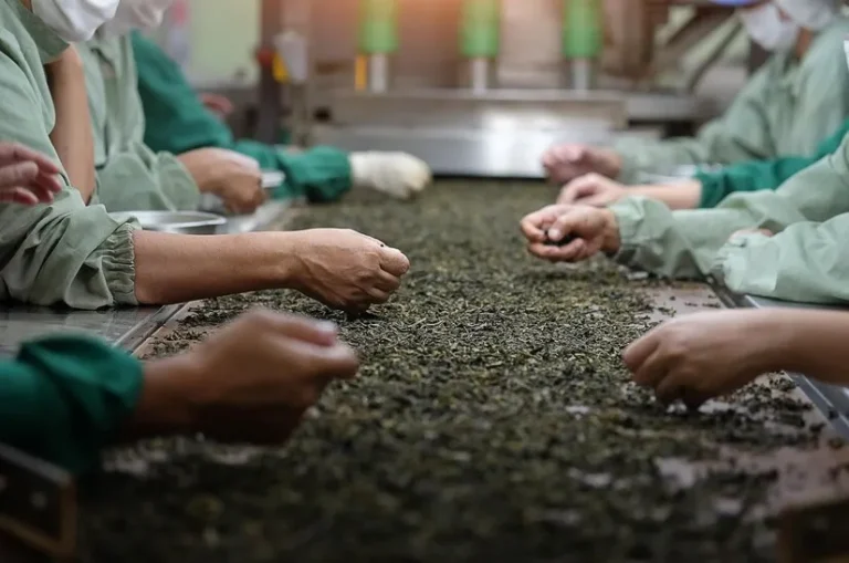 Produksi Minuman Herbal