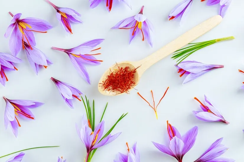 Benefits of Saffron
