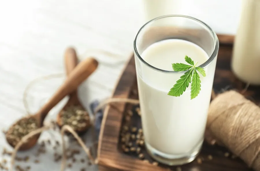 organic milk alternatives