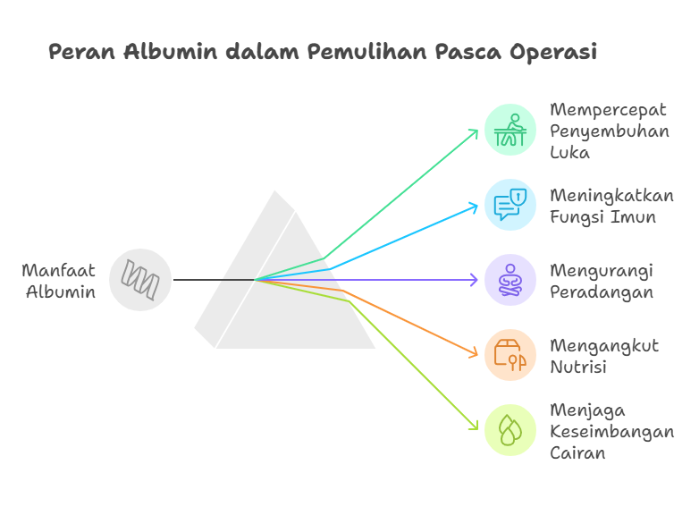 Khasiat Albumin