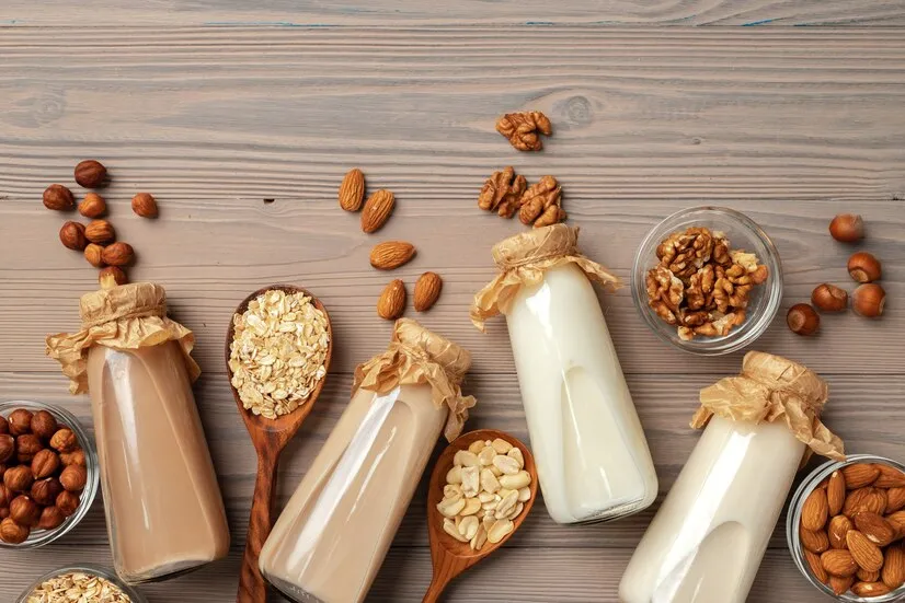 dairy free milk options