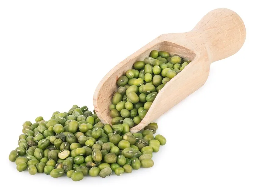 protein nabati dari kacang polong