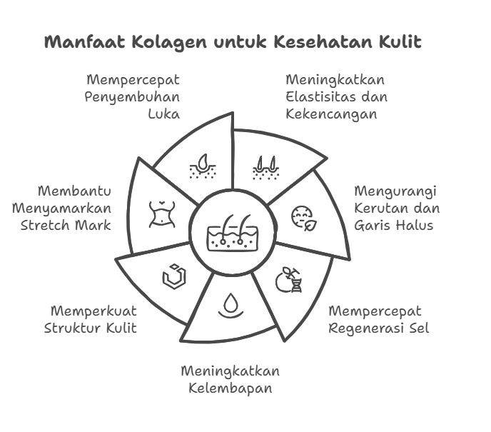 minuman serbuk collagen, collagen serbuk