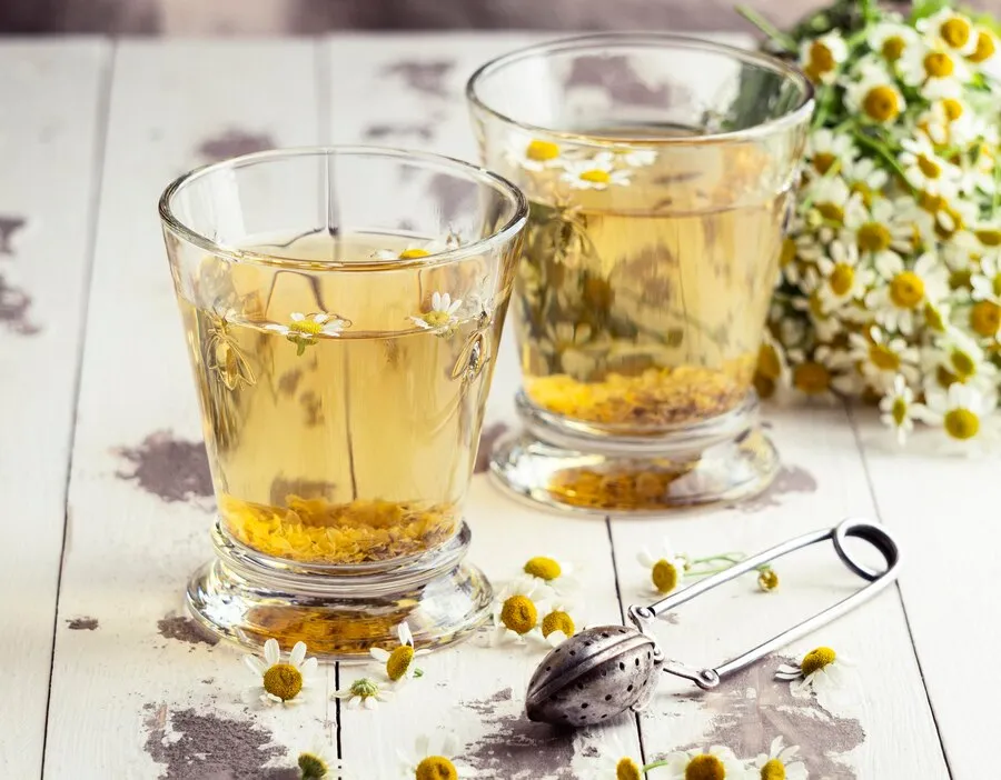 herbal untuk penderita ginjal